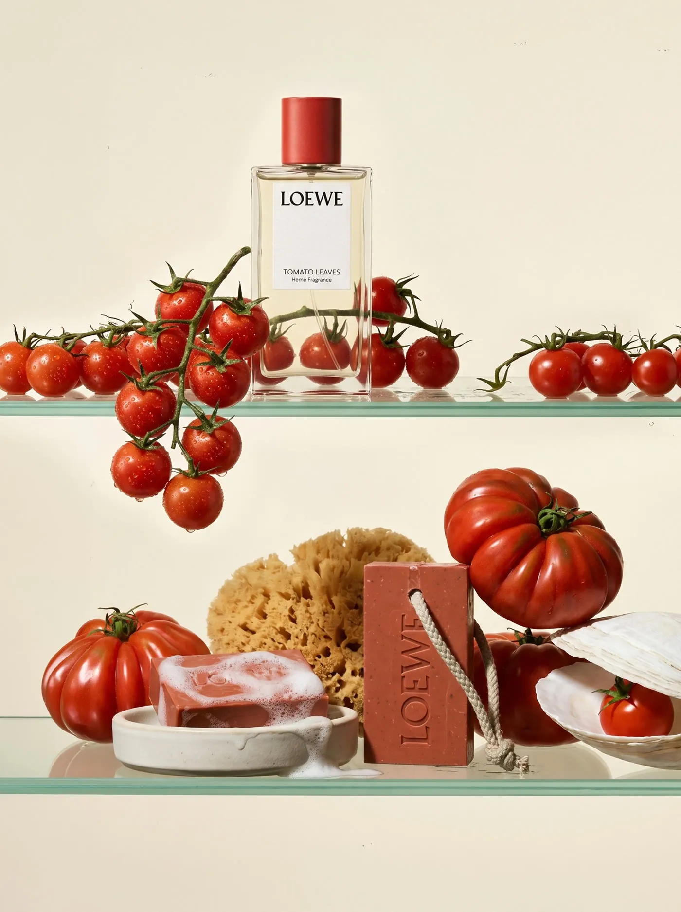 Loewe soap and fragrance visual