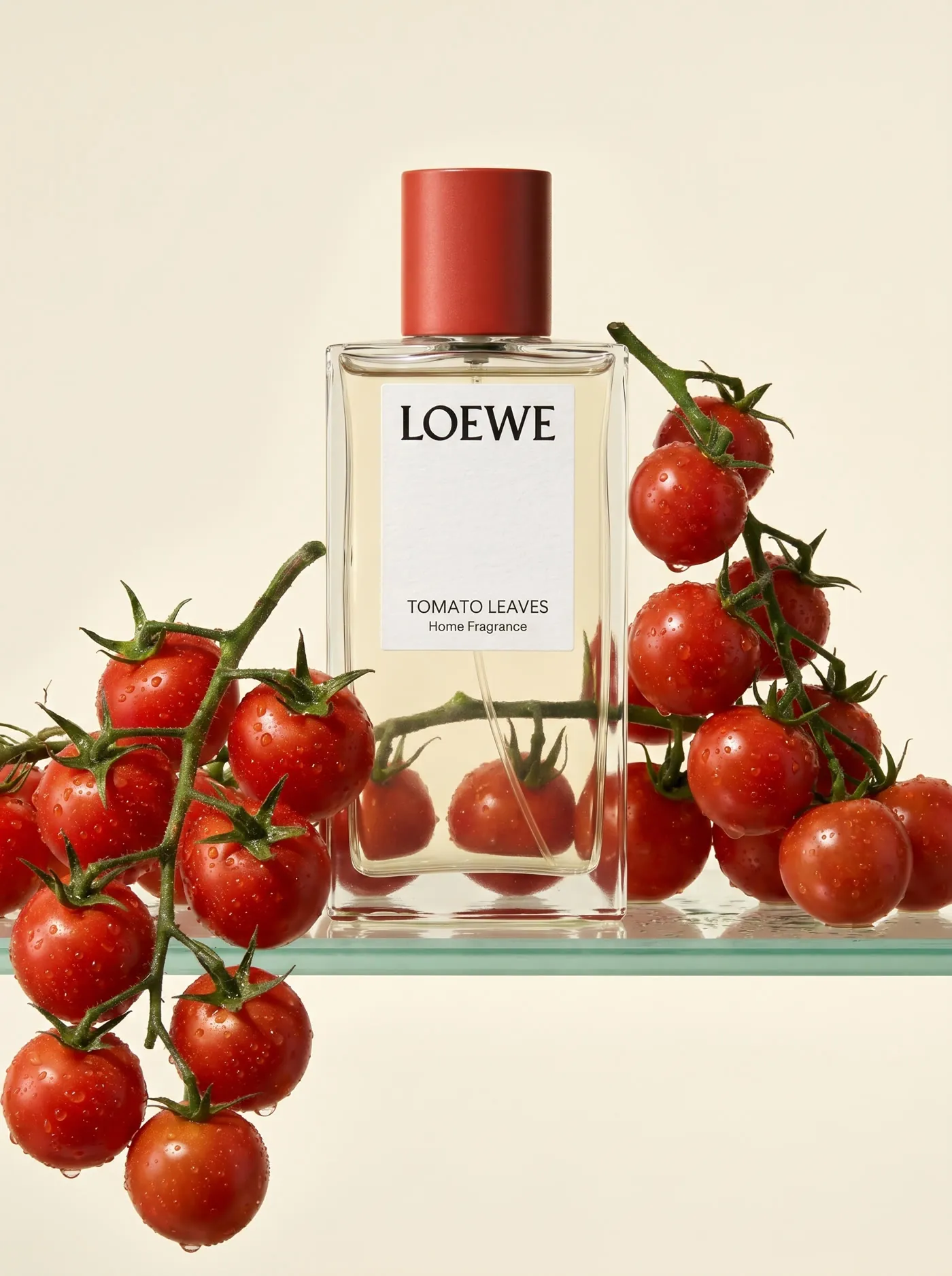 Loewe soap and fragrance visual