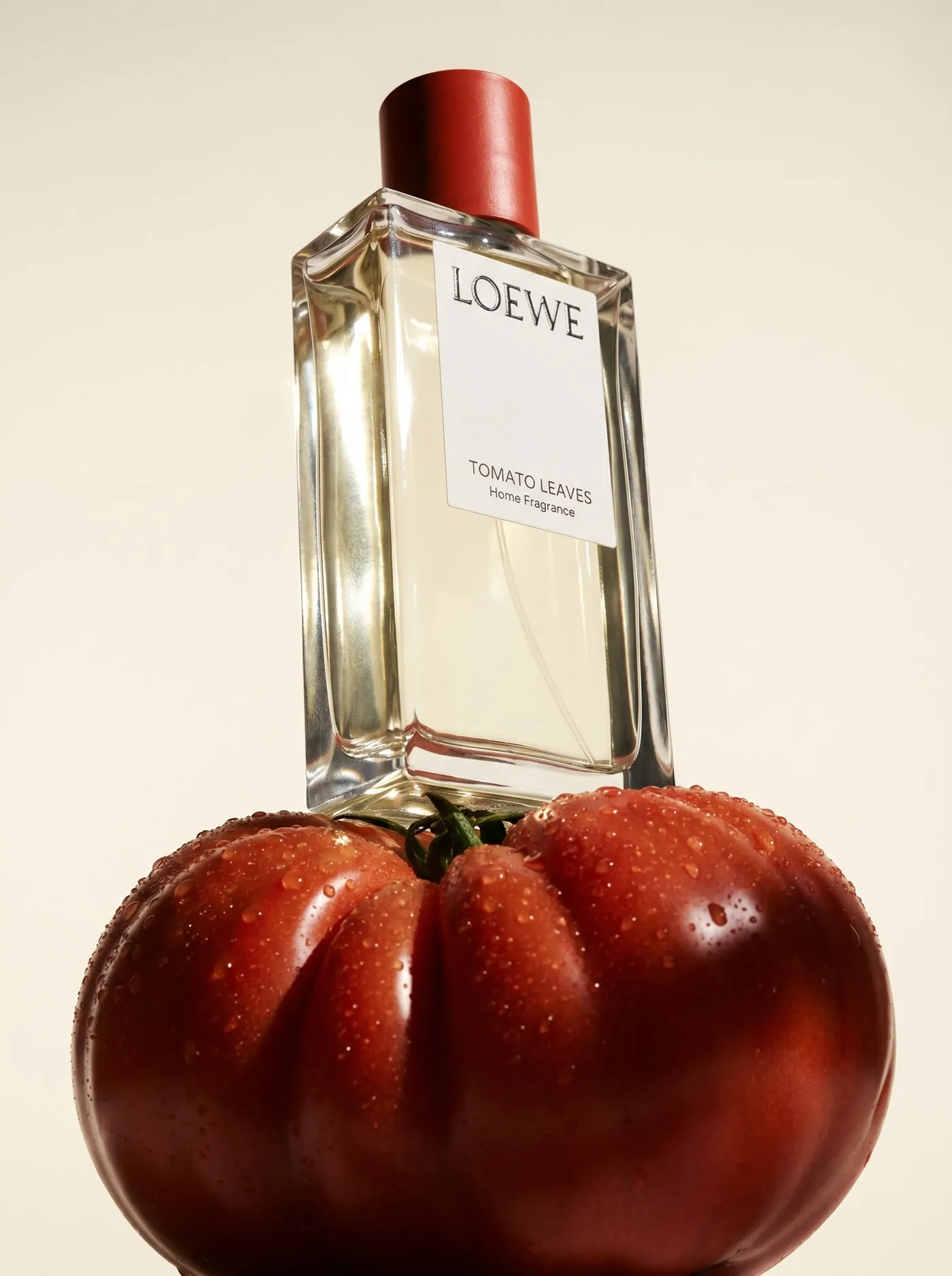 Loewe soap and fragrance visual