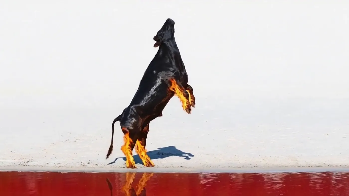 The Red Lake — still